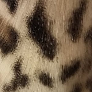 Faux Leopard Cot